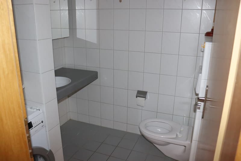 Charmant appartement 3.5 pièces avec galerie et balcon à Wilderswil ! (7)