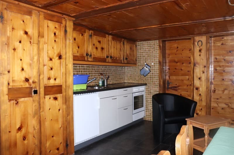 Charming Valais barn with panorama and garage in Oberems (2)