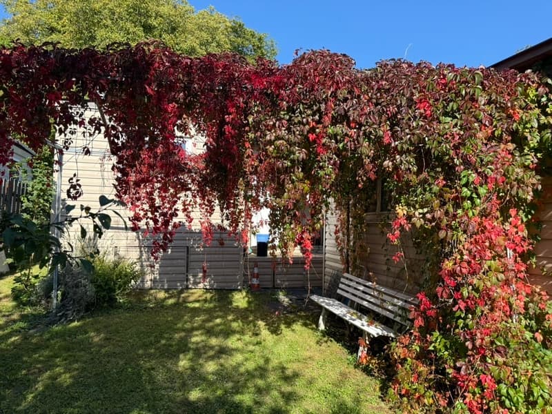 Charming camping house in an idyllic location near La Neuveville! (5)