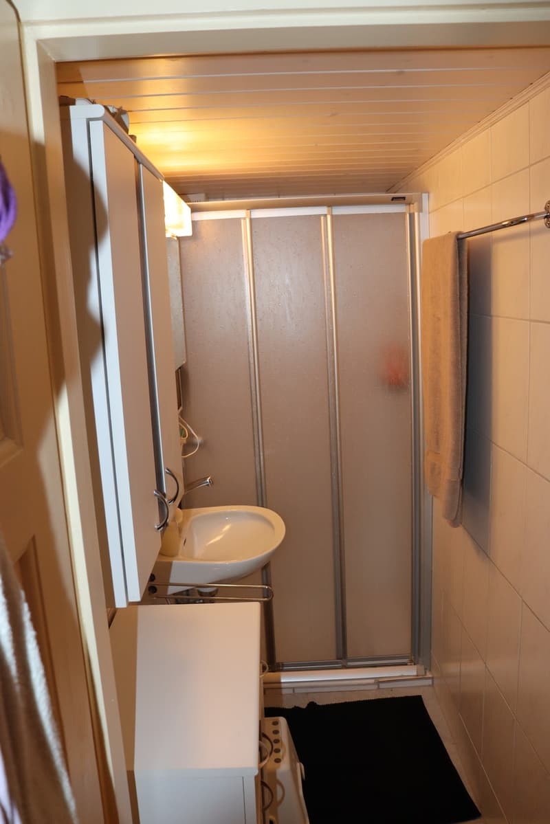 3.5-room apartment with panoramic views in a quiet location (13)