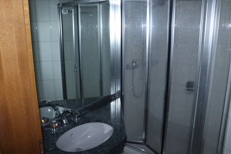 Grand appartement 4.5 pièces dans un emplacement sensationnel (9)