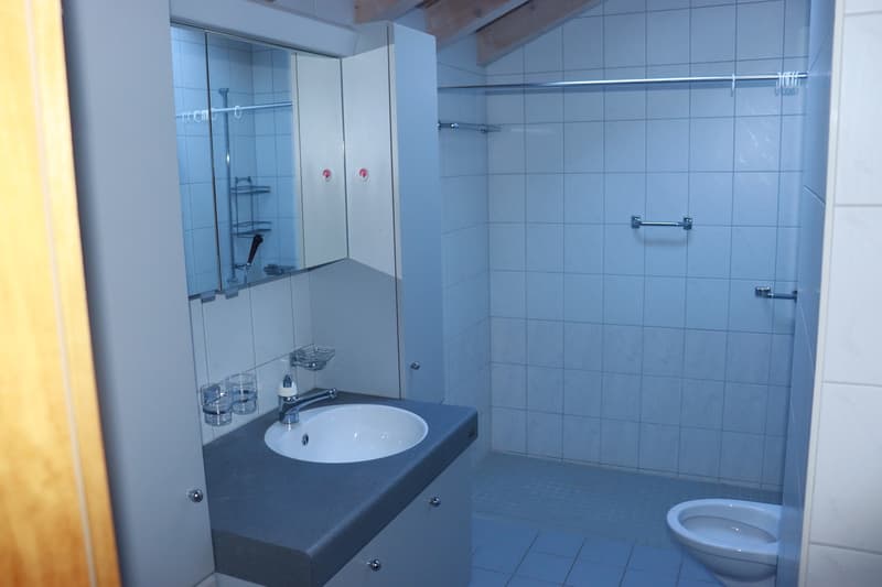 Charming 3.5-room apartment with gallery and balcony in Wilderswil! (8)