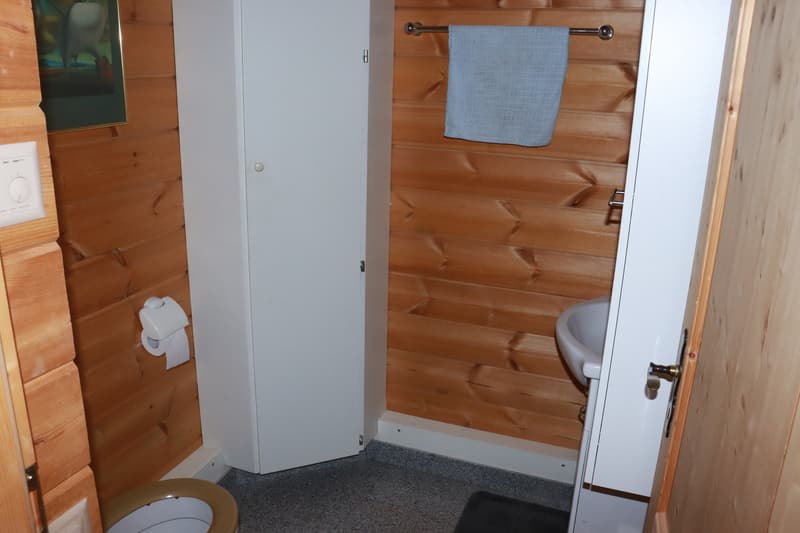 Traum Chalet in Nax Wallis (9)