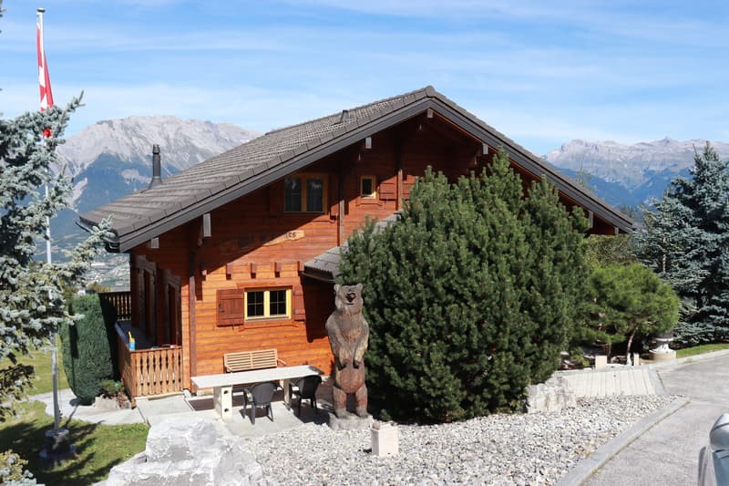 Traum Chalet in Nax Wallis (1)