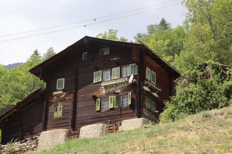 Walliser Zweifamilienhaus (1)
