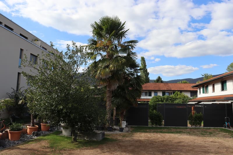 4.5-Zimmer-Eckhaus mit grossem Umschwung und privater Gartenoase! (1)