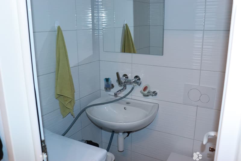 Charmante Erdgeschosswohnung in Matten bei Interlaken (7)