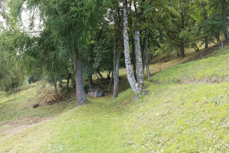 Rustikales Walliser Chalet in Hérémence (3)