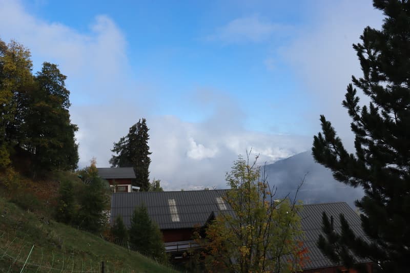 Rustikales Walliser Chalet in Hérémence (4)