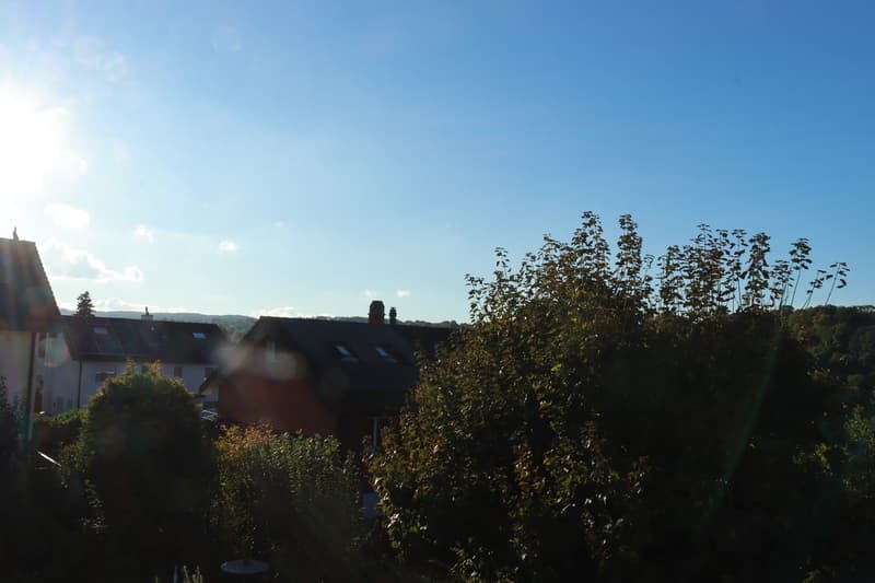 Ihr Doppeleinfamilienhaus mit Garten in ruhiger Stadtnähe! (11)