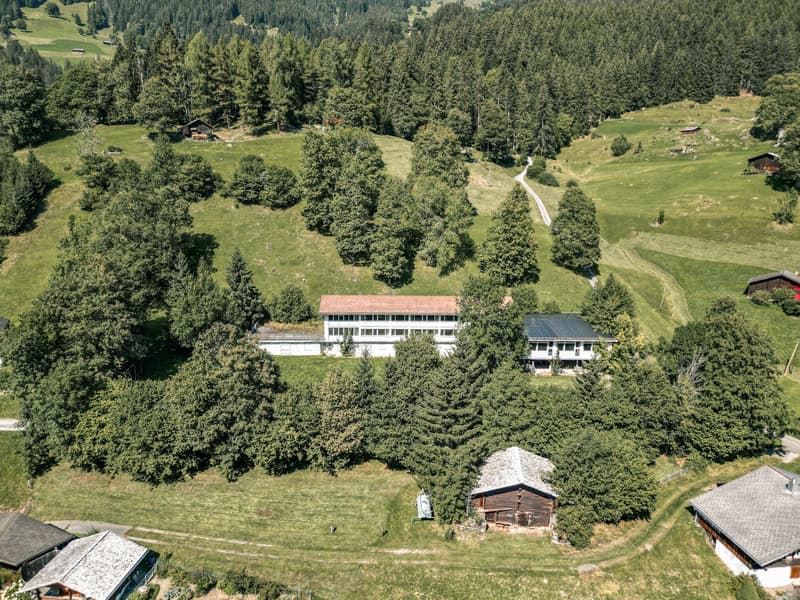 Terrain à bâtir Enziboden (6)