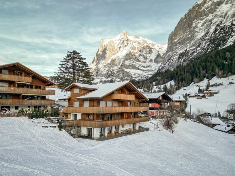 Grindelwald: Quiet 2 Bedroom Holiday Apartment With Balcony And Garden Seating Area (18)