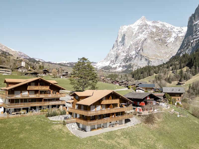 Grindelwald: Quiet 2 Bedroom Holiday Apartment With Balcony And Garden Seating Area (4)