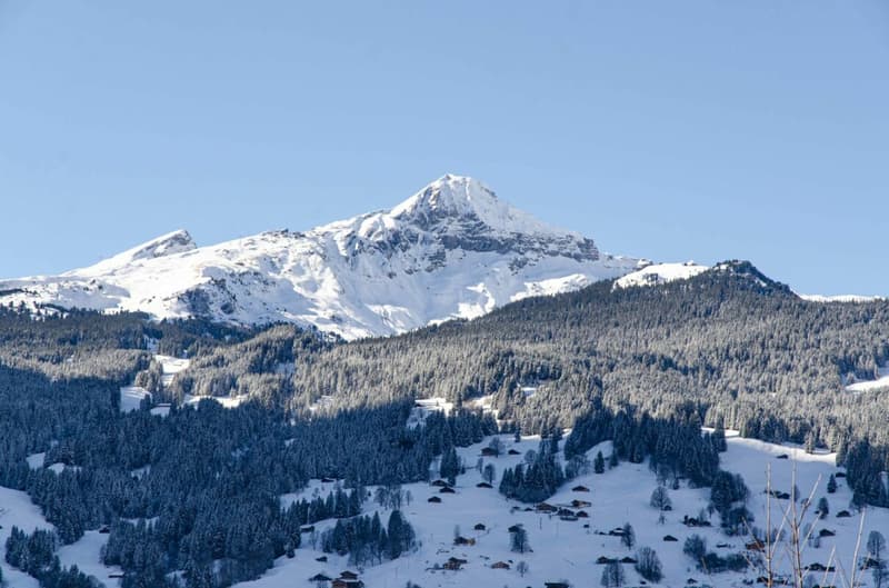 L'appartement exclusif 5.5 pièces avec galerie, Chalet Silberblume (3)