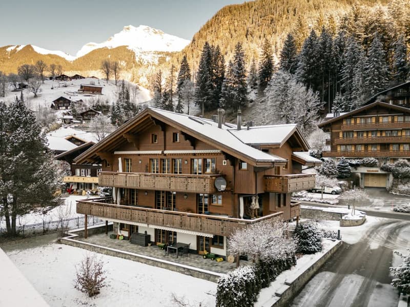 Sunny 3 Bedroom Apartment, Chalet Silberblume (1)
