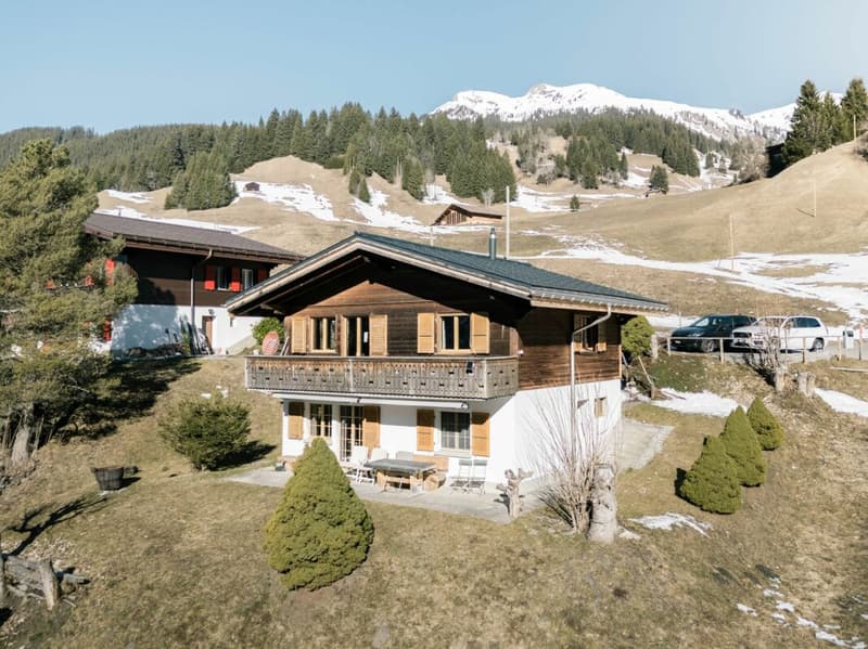 Chalet Rindergade - Alpine Home In A Quiet Location (1)