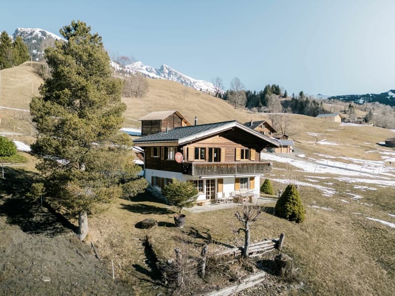 Chalet Rindergade - Alpine Home In A Quiet Location (2)