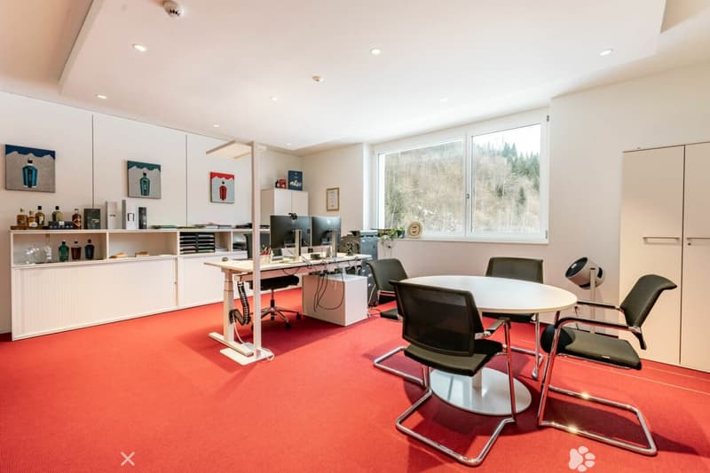 Moderne, grossflächige Büro- & Gewerbefläche in Matten (6)