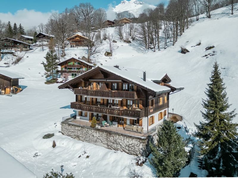 Appartement 4.5 pièces spacieux dans le chalet Gemel avec vue sur la montagne (20)