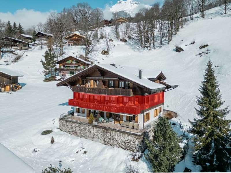 Appartement 4.5 pièces spacieux dans le chalet Gemel avec vue sur la montagne (2)