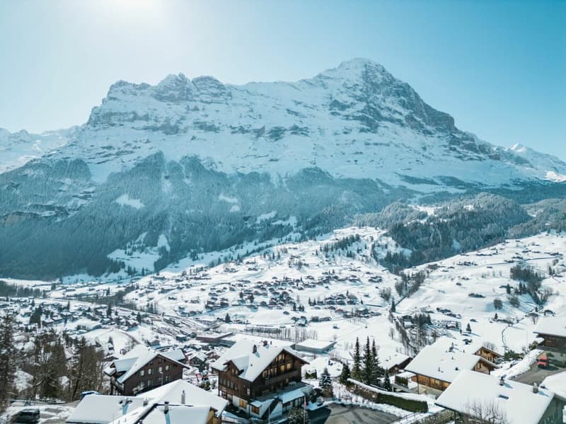 Appartement 4.5 pièces spacieux dans le chalet Gemel avec vue sur la montagne (18)