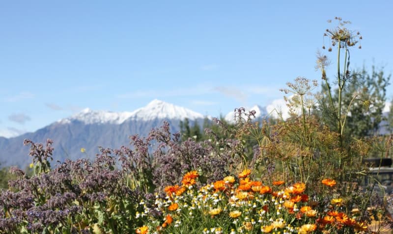 Ranch "Yukon Beauty" in Yukon Territory (15)