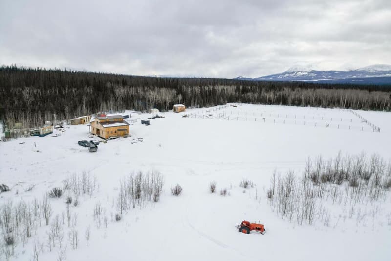 Ranch "Yukon Beauty" in Yukon Territory (3)