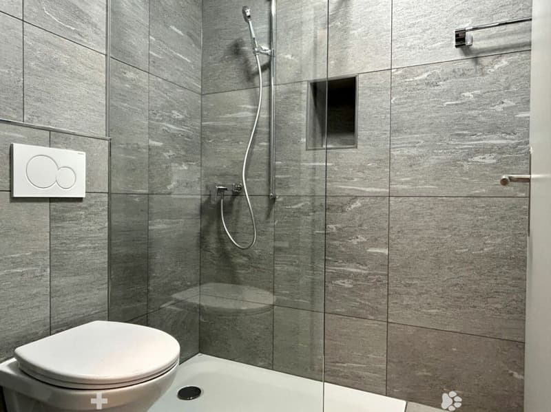 1.5-Zimmerwohnung im Zentrum von Interlaken (6)