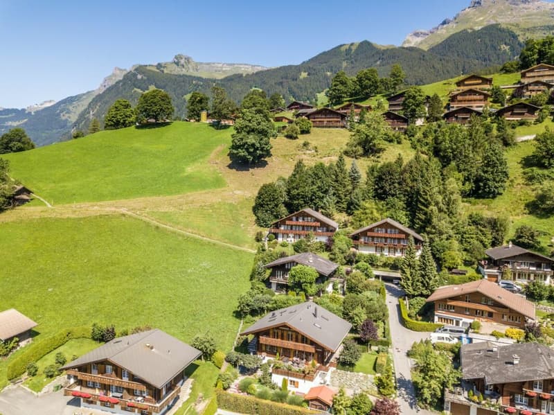 Living Comfort with Panoramic Views, Chalet in Grindelwald (39)