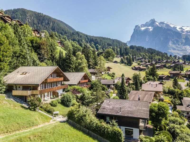 Living Comfort with Panoramic Views, Chalet in Grindelwald (38)