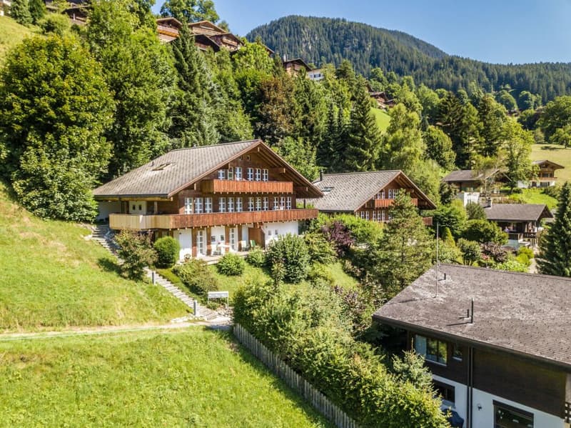 Living Comfort with Panoramic Views, Chalet in Grindelwald (1)