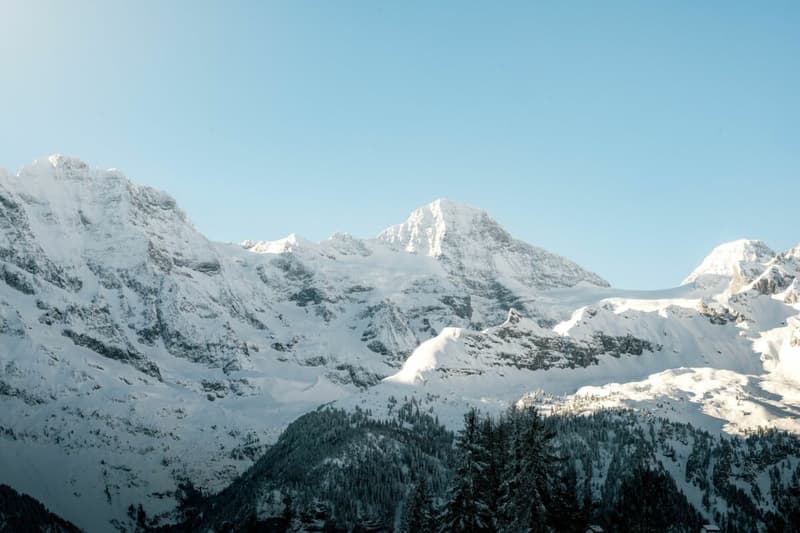 1-Bedroom Apartment With Outdoor Seating In Haus Murmeli, Mürren (3)