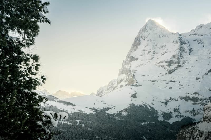 1-Bedroom Apartment With Outdoor Seating In Haus Murmeli, Mürren (9)