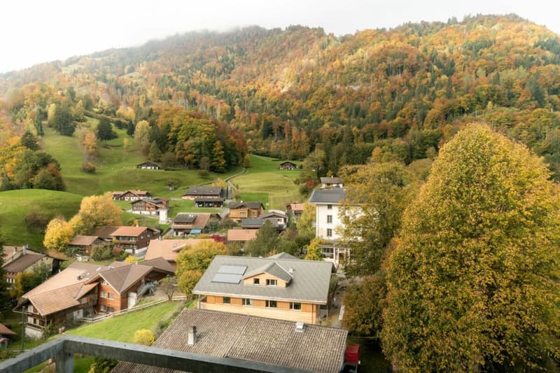 Newbuild 3 Bedroom Apartment No. 14 in the Schönbühl 360° Development, Wilderswil (14)