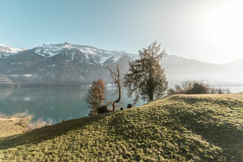 Wunderschöne 4.5-Zimmerwohnung mit Bootsplatz und Seesicht, Chalet Brienzersee (3)