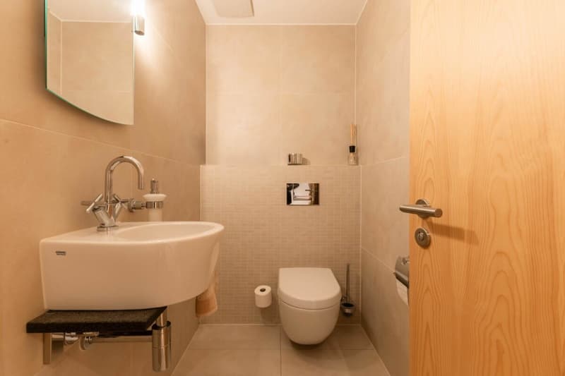 Wunderschöne 4.5-Zimmerwohnung mit Bootsplatz und Seesicht, Chalet Brienzersee (30)