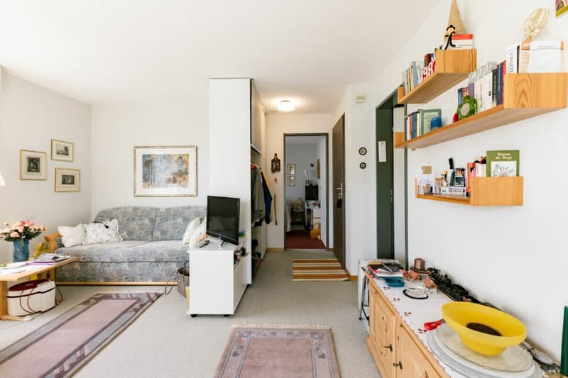 Appartamento accogliente di 2 locali con vista sulla montagna nel chalet Eggli (7)