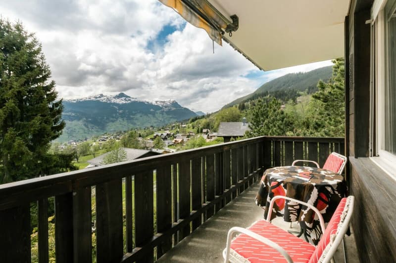 Appartamento accogliente di 2 locali con vista sulla montagna nel chalet Eggli (13)