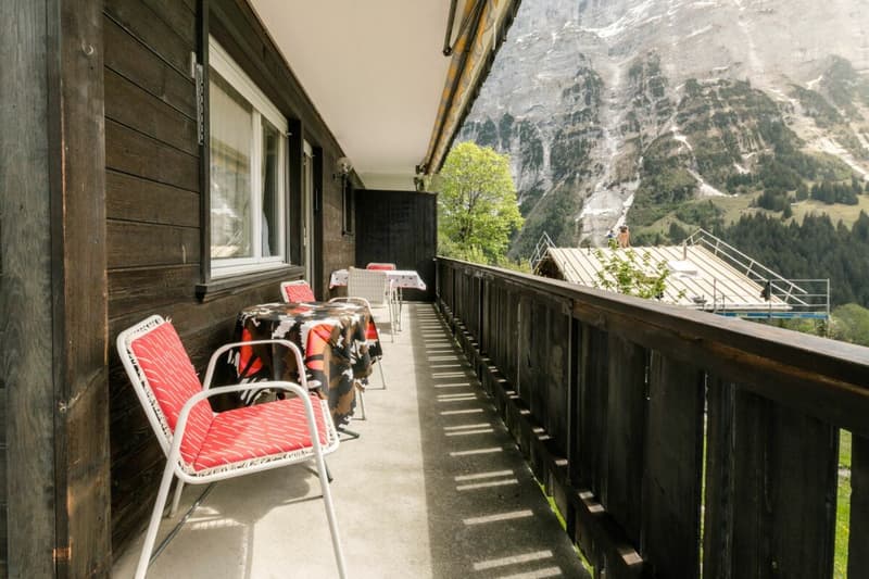 Appartamento accogliente di 2 locali con vista sulla montagna nel chalet Eggli (11)