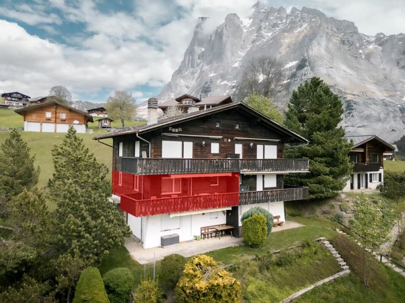 Appartamento accogliente di 2 locali con vista sulla montagna nel chalet Eggli (2)