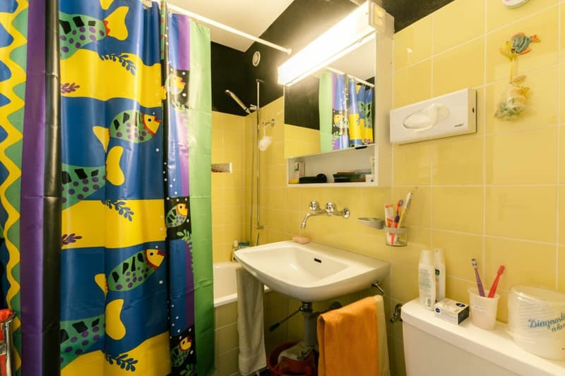 Appartamento accogliente di 2 locali con vista sulla montagna nel chalet Eggli (9)