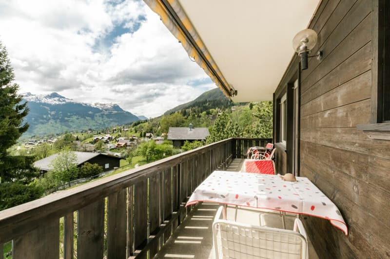 Appartamento accogliente di 2 locali con vista sulla montagna nel chalet Eggli (15)