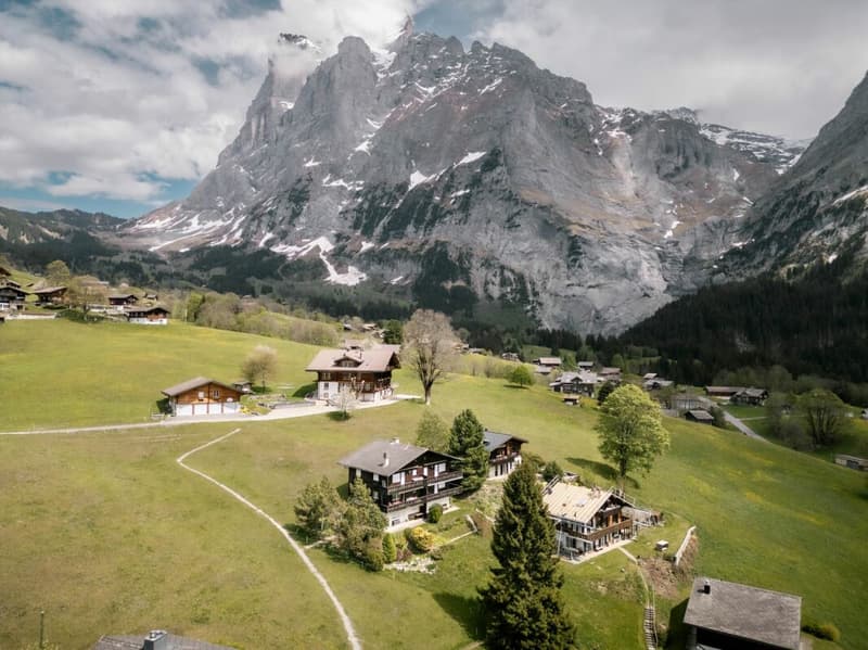 Appartamento accogliente di 2 locali con vista sulla montagna nel chalet Eggli (17)