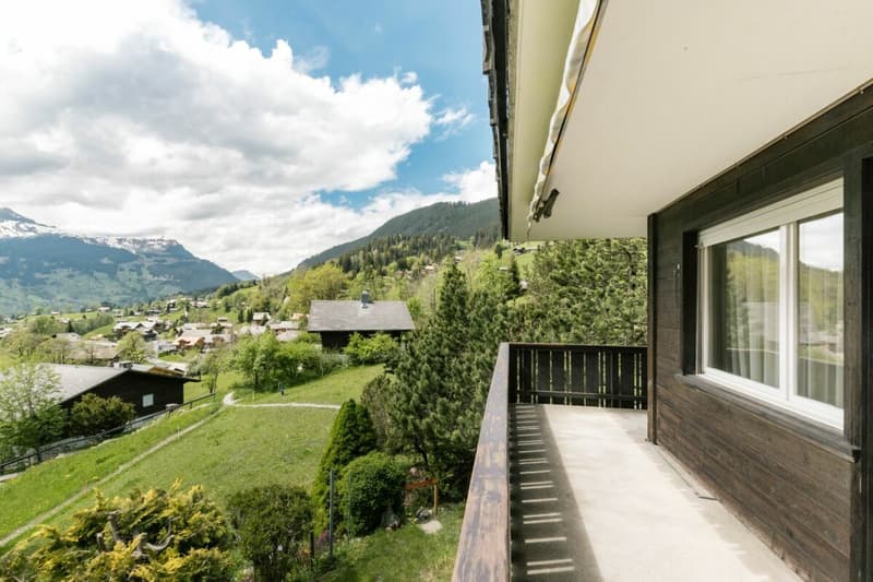 Appartamento accogliente di 2 locali con vista sulla montagna nel chalet Eggli (14)