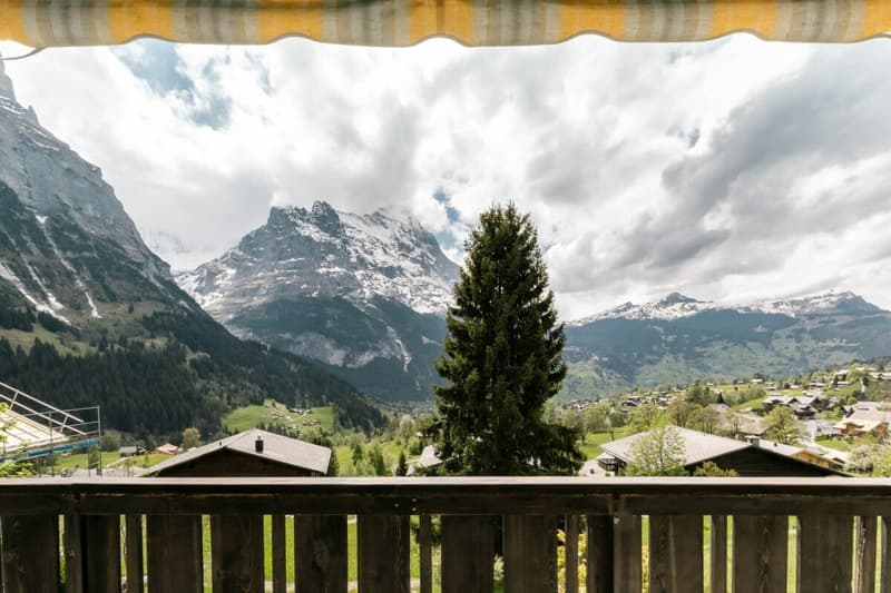 Appartamento accogliente di 2 locali con vista sulla montagna nel chalet Eggli (12)