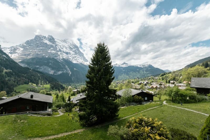 Appartamento accogliente di 2 locali con vista sulla montagna nel chalet Eggli (16)