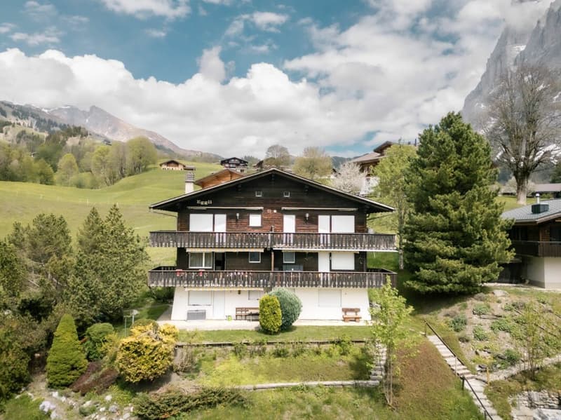 Appartamento accogliente di 2 locali con vista sulla montagna nel chalet Eggli (1)