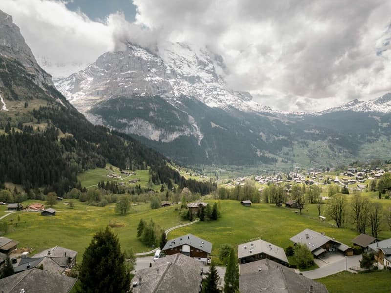 Appartamento accogliente di 2 locali con vista sulla montagna nel chalet Eggli (4)