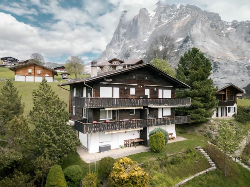 Appartamento accogliente di 2 locali con vista sulla montagna nel chalet Eggli (19)