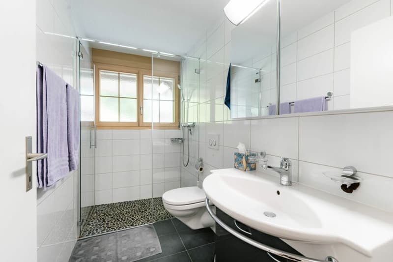Charmante 2.5-Zimmerwohnung in der Überbauung Eiger (11)